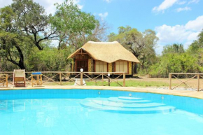 Africa Safari Selous Nyerere national park